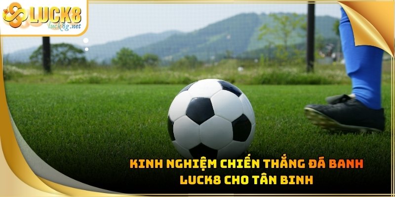 da-banh-luck8-kinh-nghiem